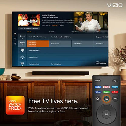 VIZIO 40-inch D-Series Full HD 1080p Smart TV with AMD FreeSync